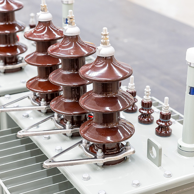 TSTYNICE Oil-Immersed Power Transformer