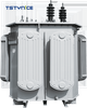 TSTYNICE Amorphous Alloy Oil-immersed Distribution Transformer Manufacturer