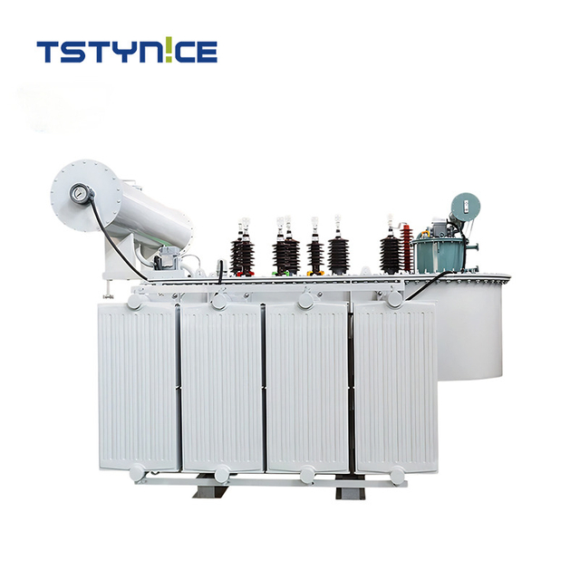 TSTYNICE 33 kv Oil-Immersed Power Transformer