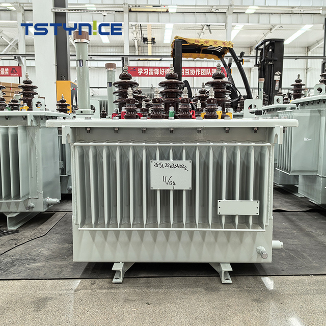 TSTYNICE 10kv Oil-Immersed Power Transformer
