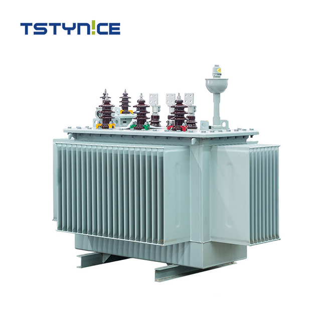 TSTYNICE 22 kv Oil-Immersed Power Transformer