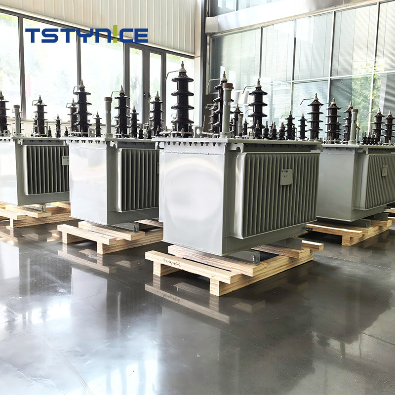 TSTYNICE 33 kv Oil-Immersed Power Transformer