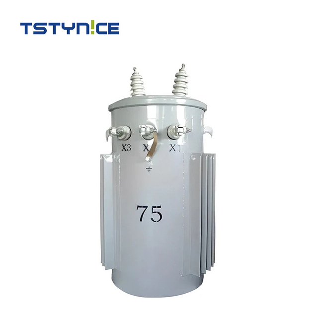 TSTYNICE Single Phase Pole Mounted Transformer
