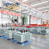 TSTYNICE 15 kv Oil-Immersed Power Transformer