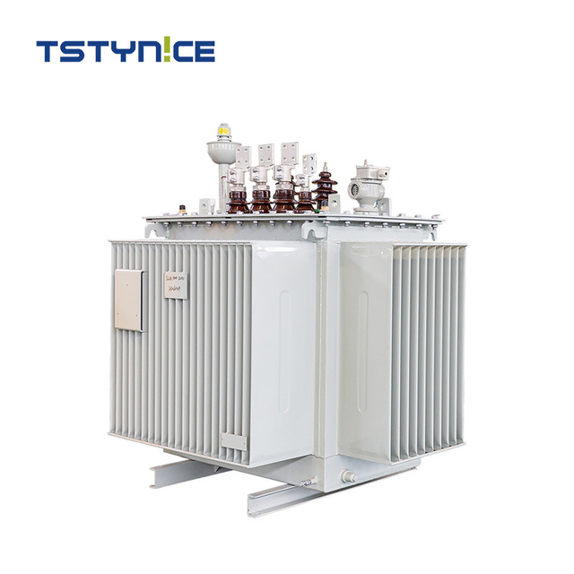 TSTYNICE 22 kv Oil-Immersed Power Transformer
