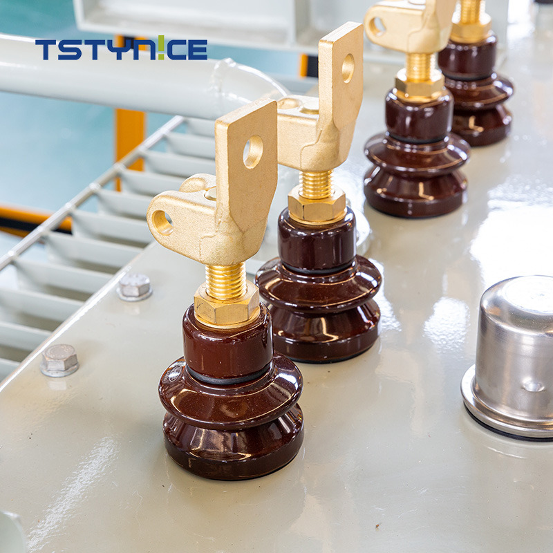 TSTYNICE 22 kv Oil-Immersed Power Transformer