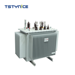 TSTYNICE 10kv Oil-Immersed Power Transformer