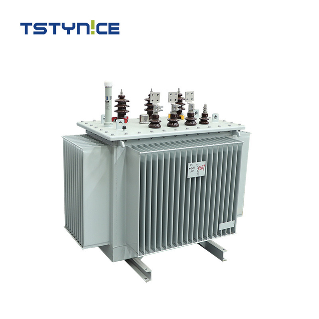 TSTYNICE 10kv Oil-Immersed Power Transformer