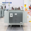 TSTYNICE 22 kv Oil-Immersed Power Transformer