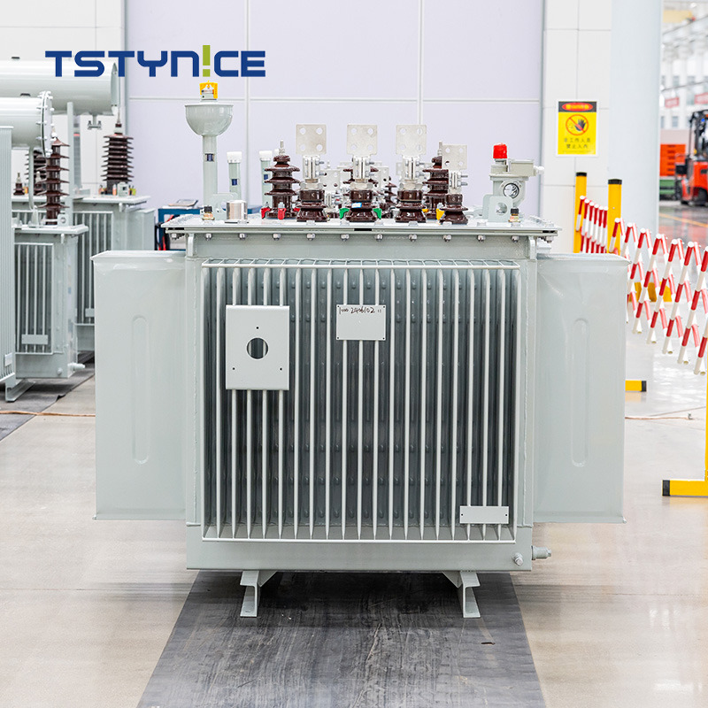 TSTYNICE 22 kv Oil-Immersed Power Transformer