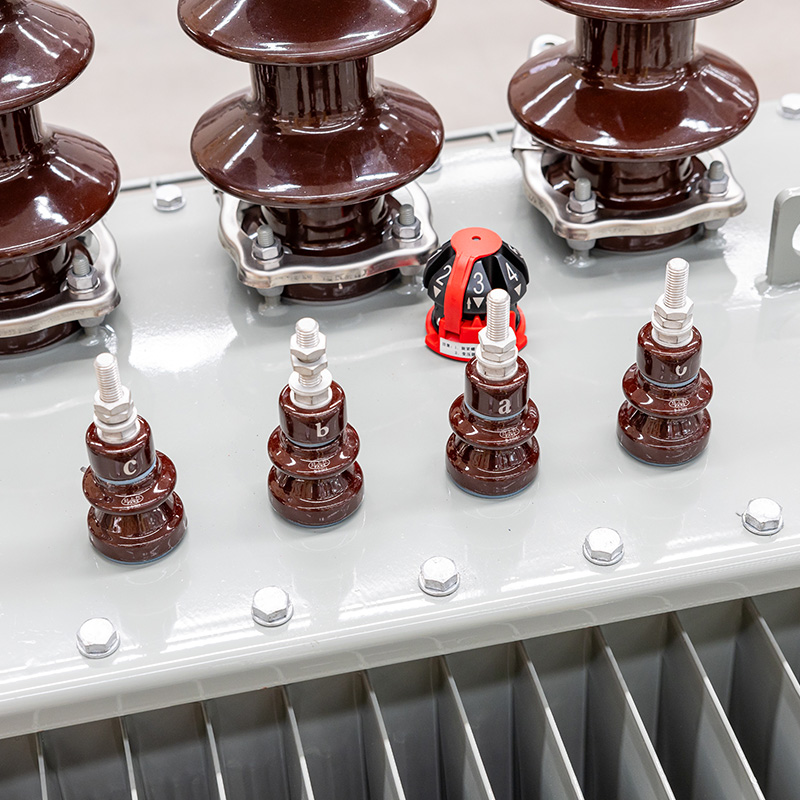 TSTYNICE Oil-Immersed Power Transformer