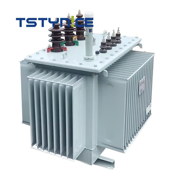 TSTY 100 KVA Three Phase Oil-Immersed Power Transformer