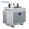 TSTYNICE Hermetically Sealed Type Transformer Oil Filling Transformer Manufacturer